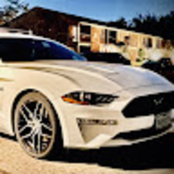 Meet your Posher, Dawn ann linares - Picture 1 of 1